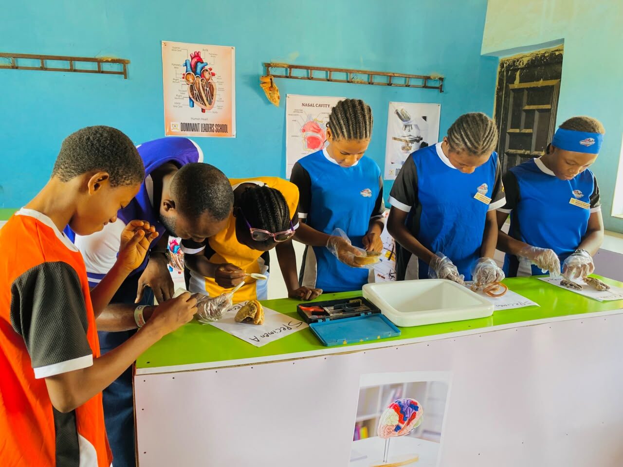 Students in a science lab practical